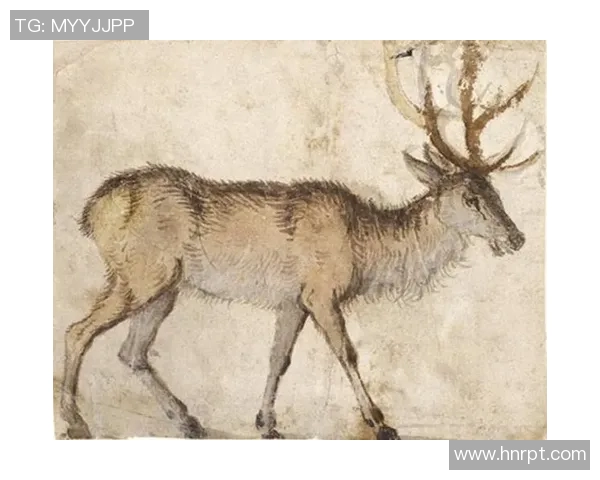 探索格林集锦的魅力与影响力，揭示其背后的故事与精彩瞬间