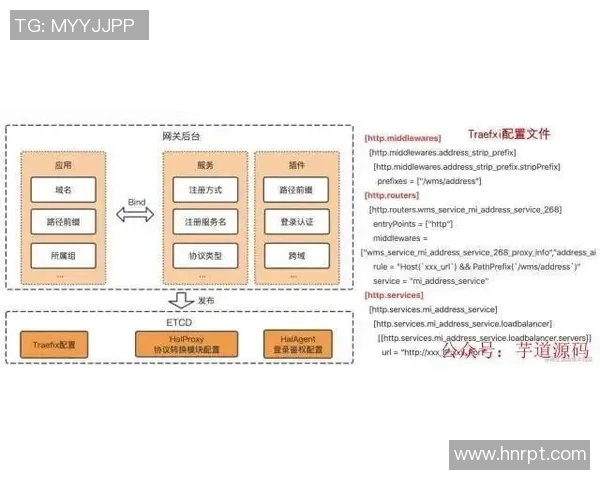日本与欧美下载方式对比迅雷下载的优势与劣势分析